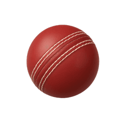 Cricket Ball
